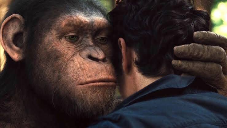 The Gorilla letting the last human go free so he can tell everyone what happened.