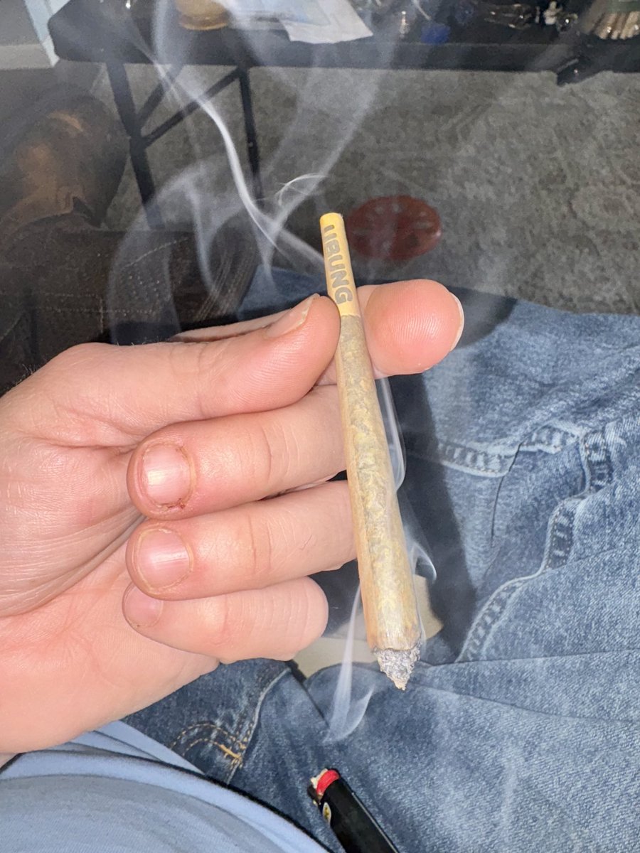 travisa850's tweet image. I’m late to the party, but hey.. 

🌲 from 👉 @KushWorldShop