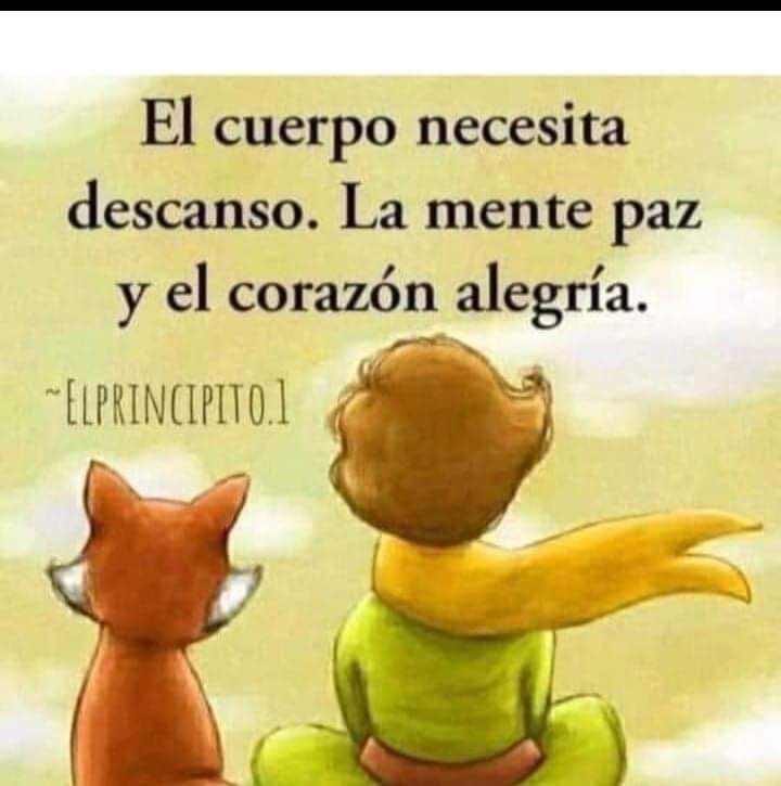20 frases de El Principito que te invitan a parar un momento, mirar al cielo… y sonreír.

Pequeñas verdades que entran suave y se quedan para siempre.
🧵💖

1/