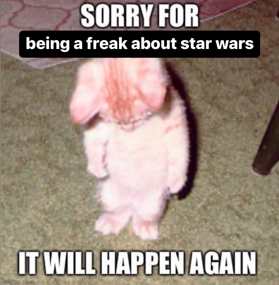 me all day may 4th
