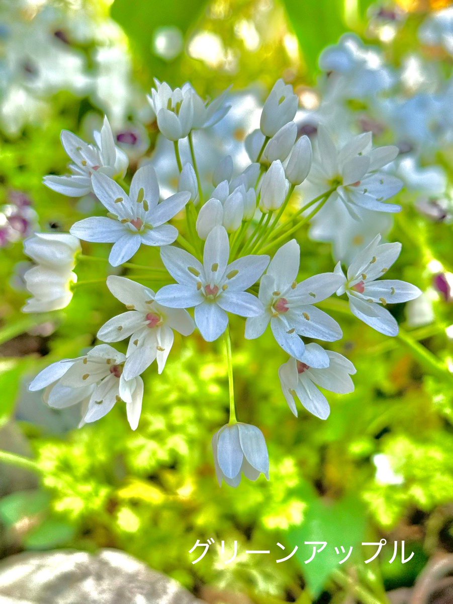 綠意家園 每個行動都充滿愛.ixm