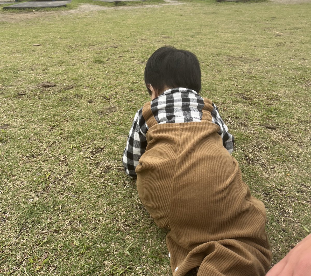 beach_tm's tweet photo. 久しぶりにXきたわー
3歳、2歳(犬)、０歳の息子たち
毎日バッタバタで過ごしております
元気です(笑)
最近はインスタにしか居ないので(笑)
楽しくやっとります。 https://t.co/02YZW06B32