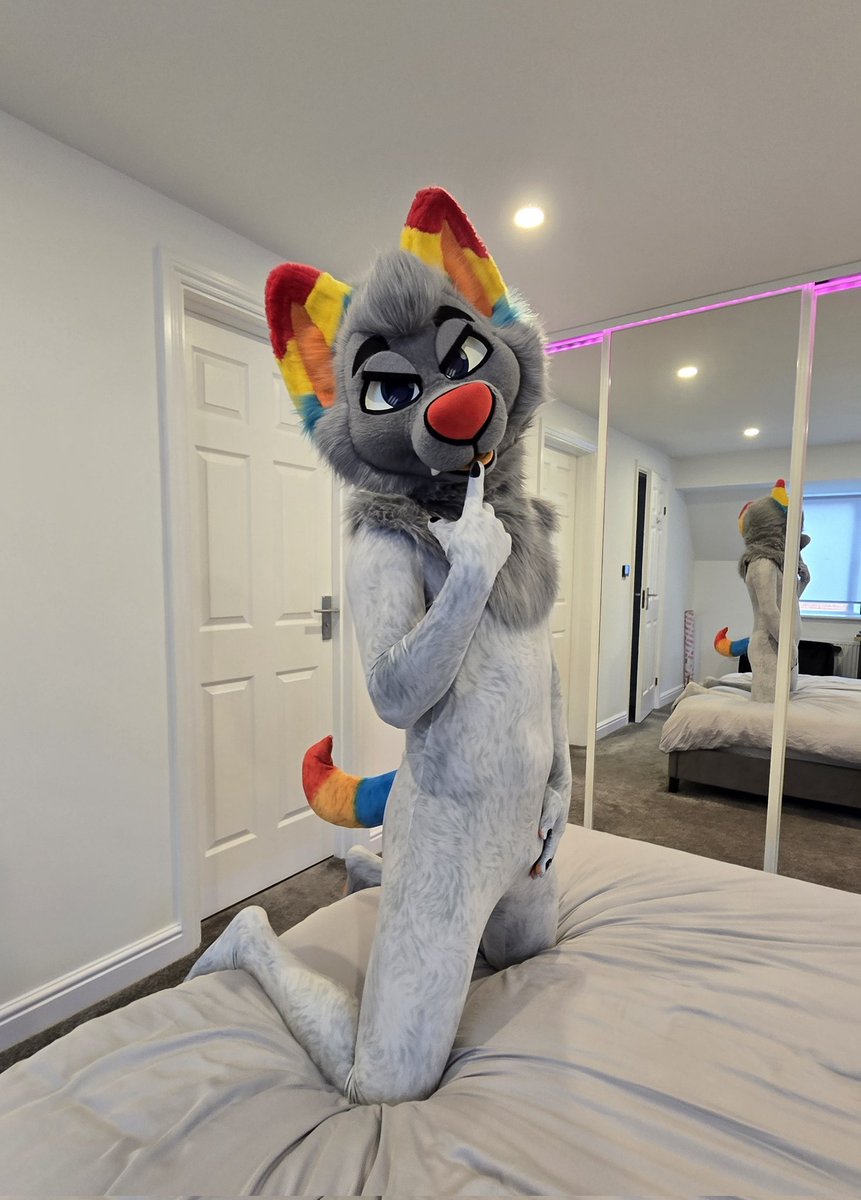 Wusky on the bed 🐺