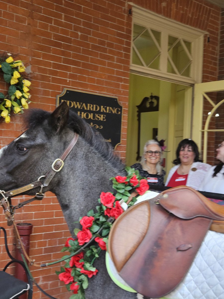 Newport ThisWeek tweet media