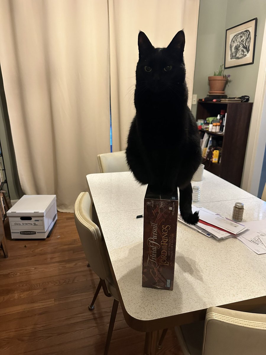 If I fits, I sits.