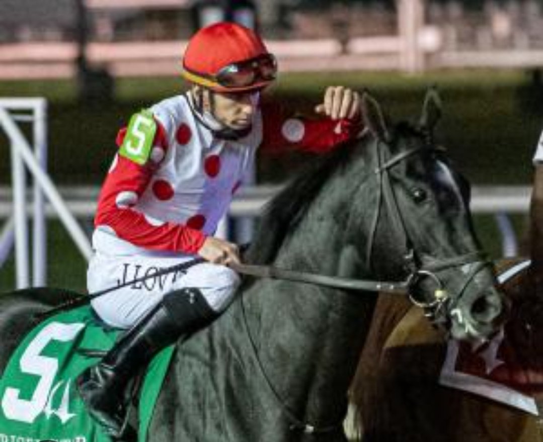 Maxim Galash 🛡️| Coinchange.io (@maxgalash) on Twitter photo <a href="/KentuckyDerby/">Kentucky Derby</a> The best investment in the field? Chunk of Gold. This horse was bought for just $2,500 at auction and has already earned almost $350,000 in competitions. <a href="/KentuckyDerby/">Kentucky Derby</a> The best investment in the field? Chunk of Gold. This horse was bought for just $2,500 at auction and has already earned almost $350,000 in competitions.