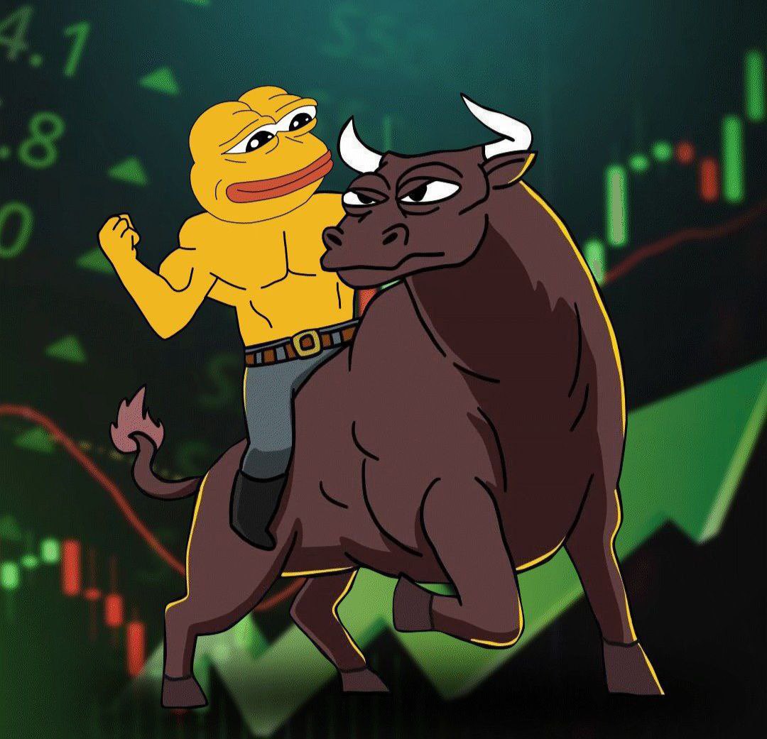 Bull run hasn’t even started yet $PEPE #PEPE2
