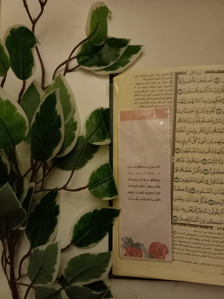 وإن تسلُكْ دربَ النورِ في حفظَ كِتابِهِ
فثِقْ أنَّ ربَّ العرشِ يُتِمُّ المَسِيرا 🤍🕯!