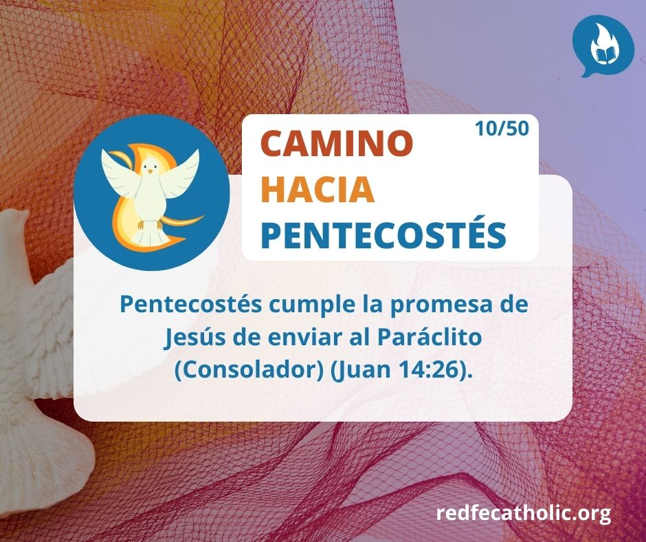 redfecatholic's tweet photo. Una promesa para no dejarnos solos, y se cumple en Pentecostés.
#caminohaciapentecostés 
#redfecatholic https://t.co/Y3Ovi3BsLi