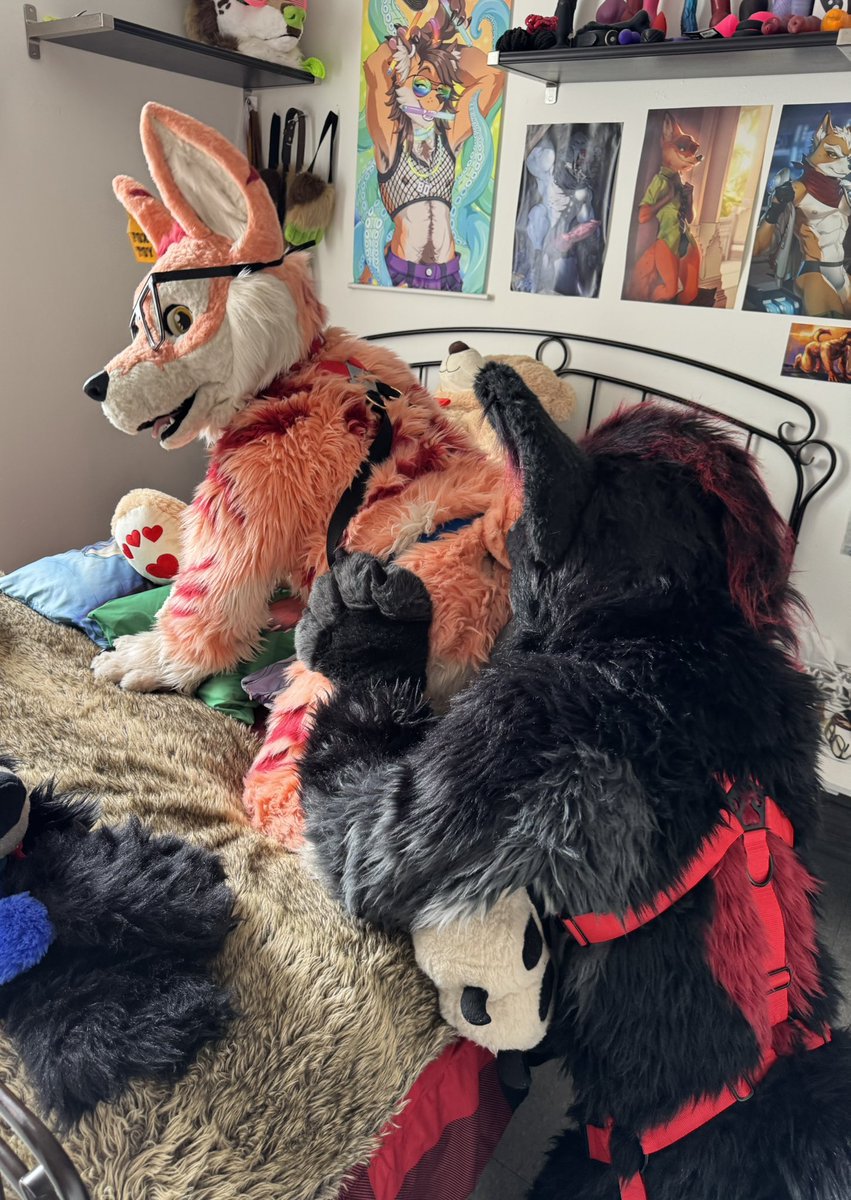 Plz dont faint back there ! 😵‍💫
🦊:<a href="/MuzoFox/">Muzo Fox</a>
🐺:<a href="/Koroad666/">Koro AD</a>
🎥:<a href="/SkywayWolf/">Skyway</a>

#furry #furries #fursuit #fursuiter #murrsuit #murrsuiter #fox #fennecfox #foxtoy #cute #paws #butt  #furryfandom #furrycommunity #furryporn  #naughty #sniff #ass #musk #wolf