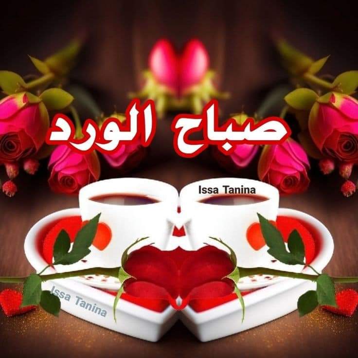 أبَِن𝄞⚚᭄اَِلᬼيمَِن (@aliibiali183995) on Twitter photo <a href="/SaraN0bel/">sara nabel</a> <a href="/SaraN0bel/">sara nabel</a>