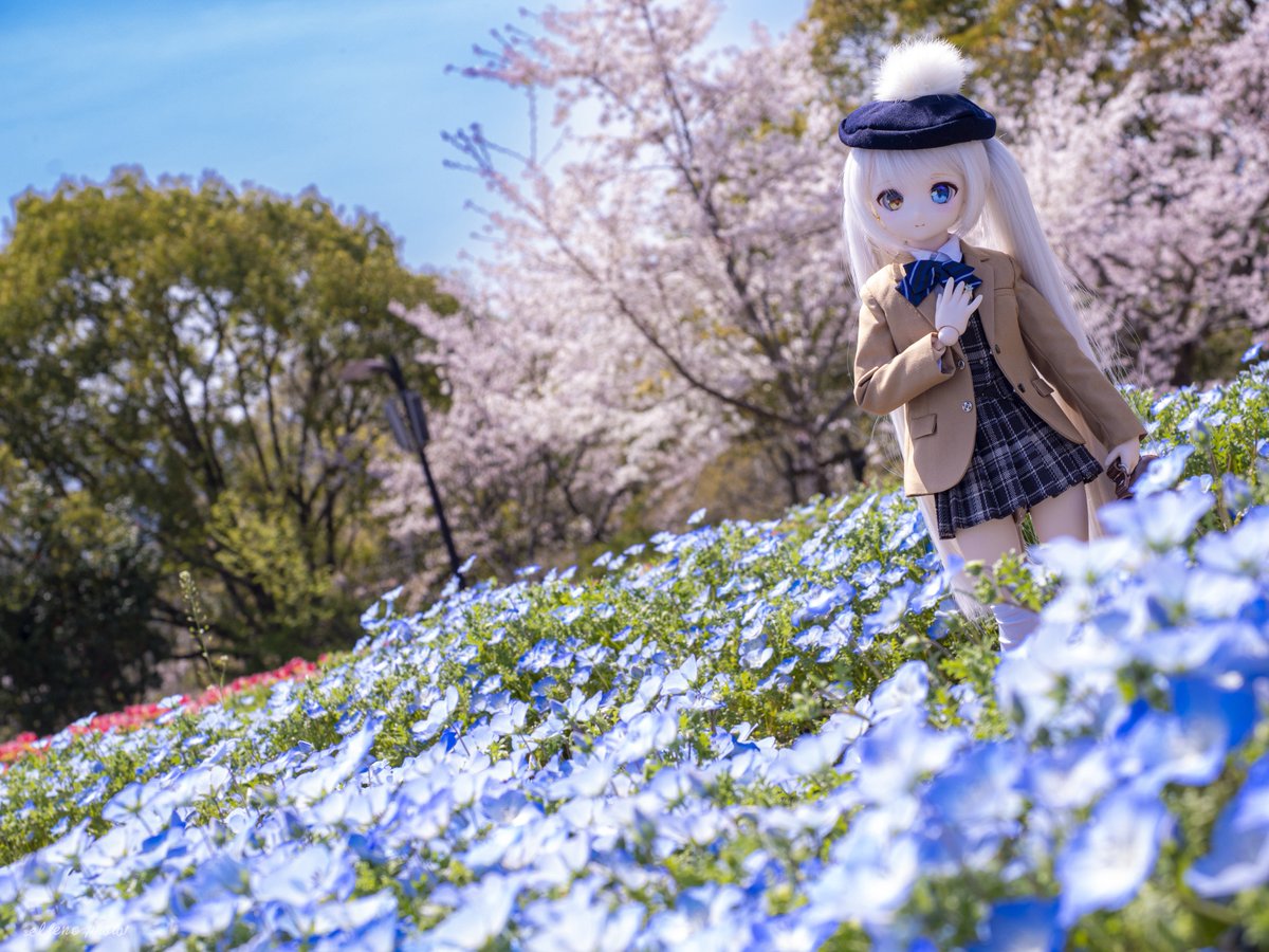 おはようございます( ˶'ᵕ'˶)ｼｺﾞﾄｰ

GW…と思いきや人の動きも比較的少ない昨日でした

混んでる所は混んでるんですが💦

今日も良い一日を🍀🫧

 #おはドル  #馬見丘陵公園