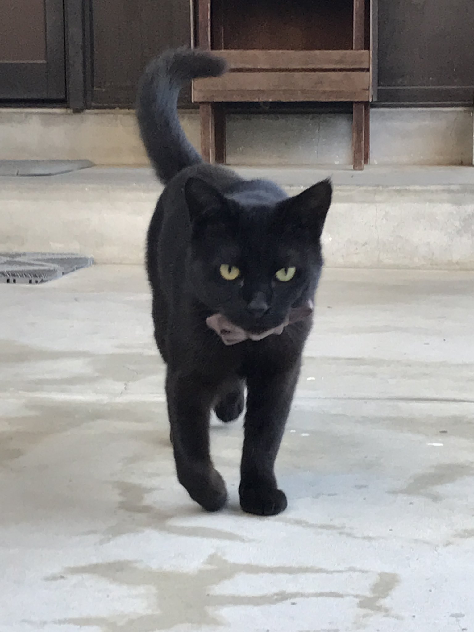 尾道市立美術館 on X: 