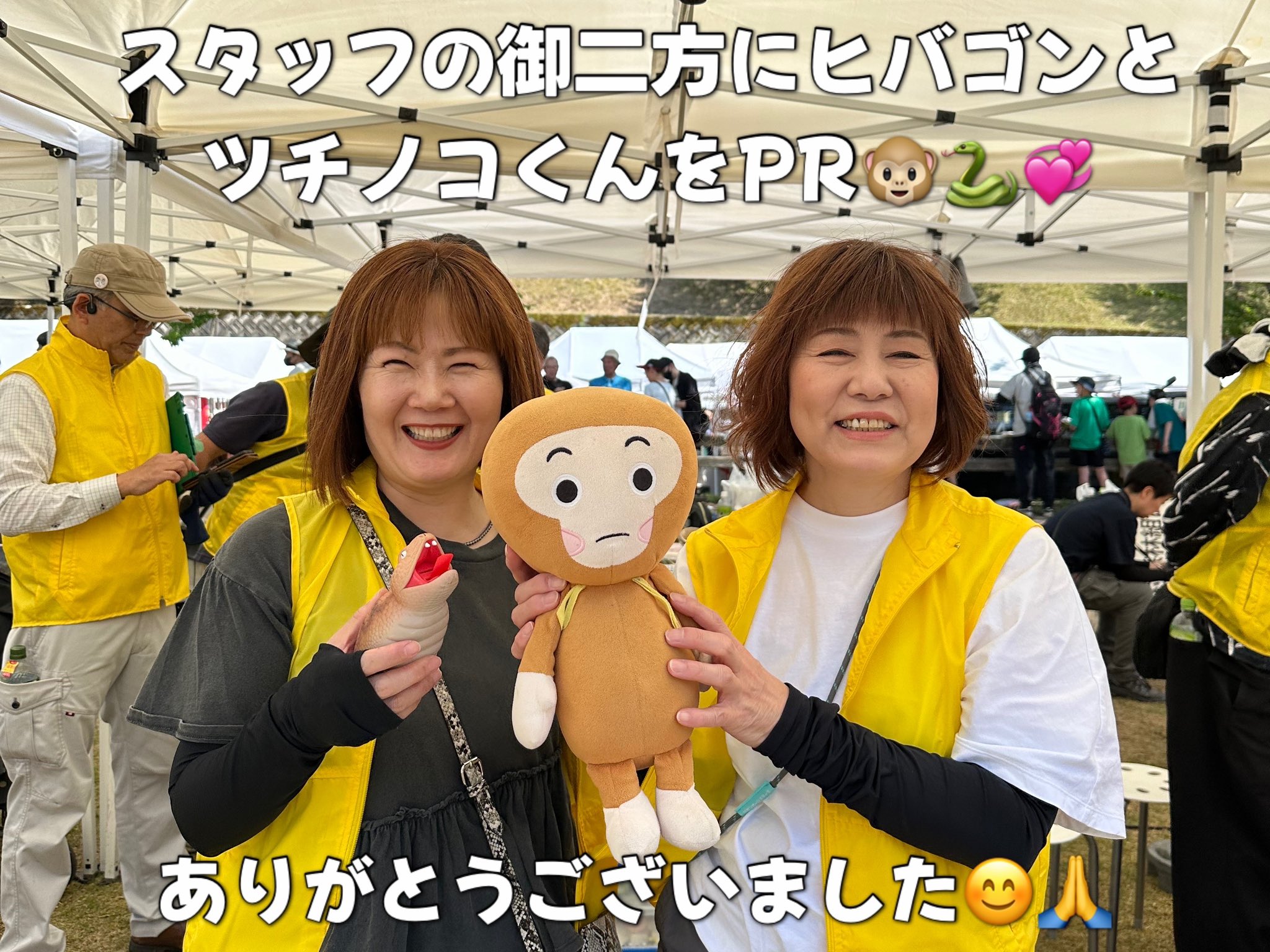 ゆうこむすび丸(ヒバゴンお姉さん🐵) on X: 