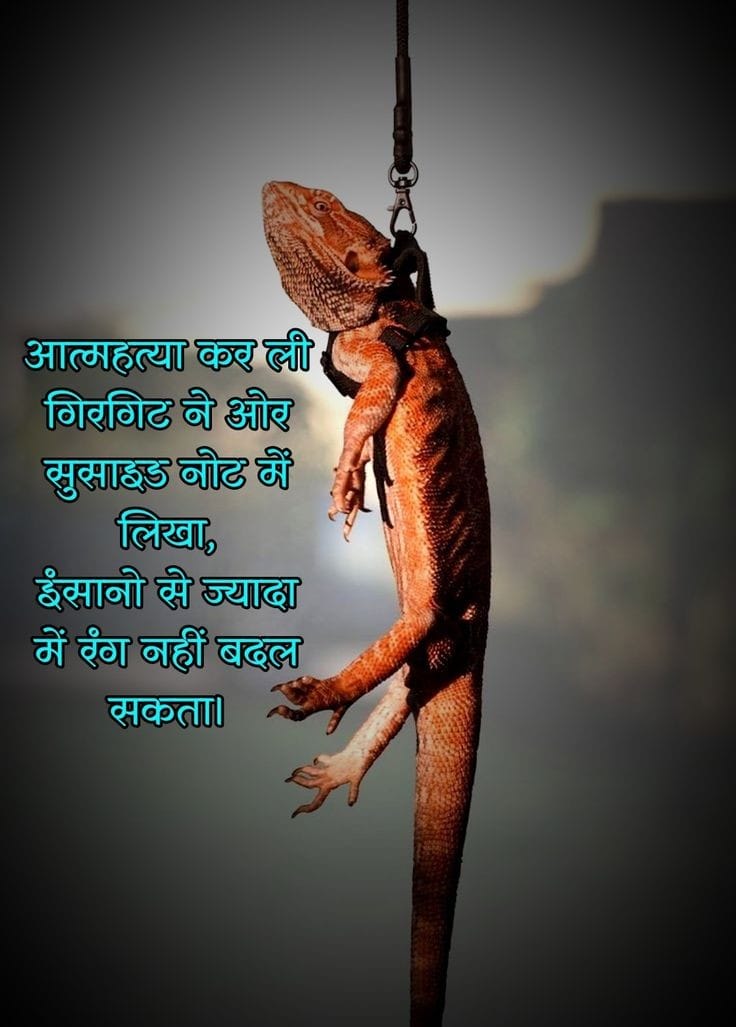 Priyanshi Yadav❤️ (@ashiup32) on Twitter photo 