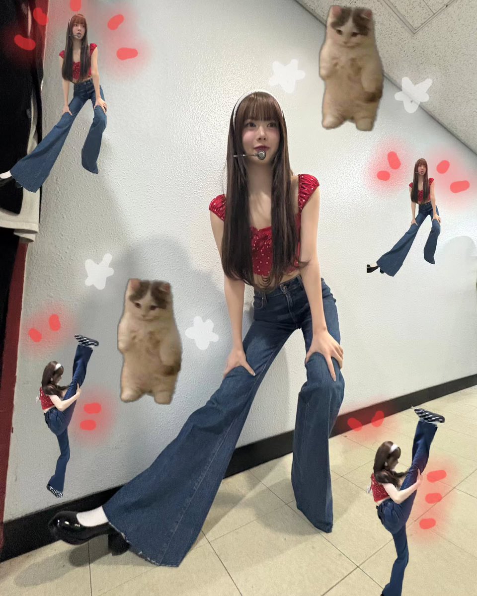 littlemanchae's tweet image. ‼️attenshun, please‼️

little miss hong manchae is wandering around looking for folks to build a long-term friendship with! anyone willing to volunteer?! (i promise i’m a funny gal) retweets are veryyy appreciated! 😮✊🏻