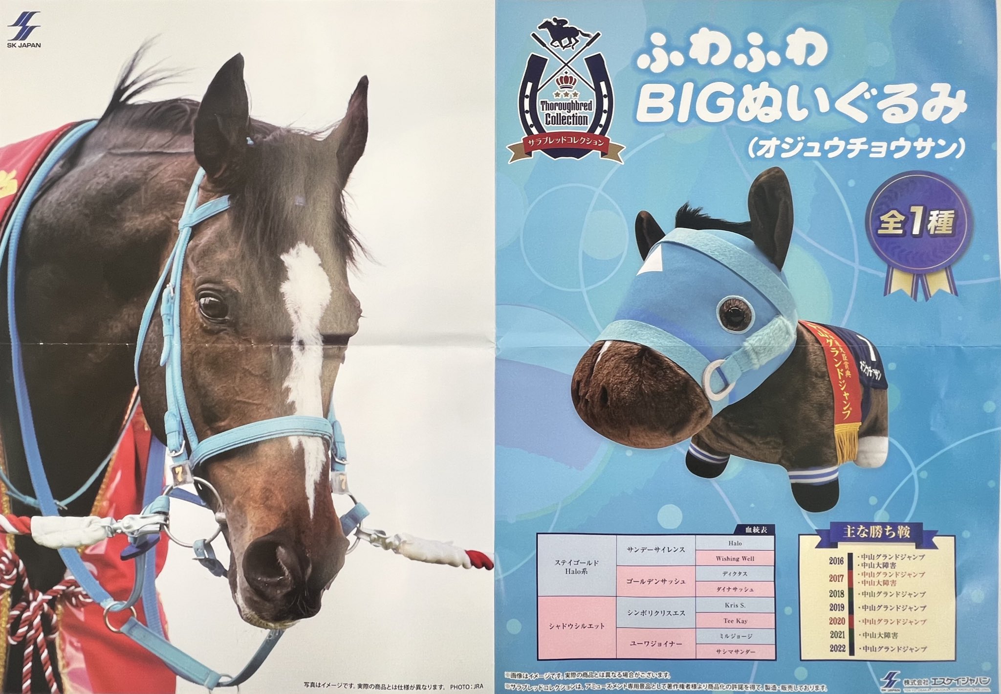オジュウチョウサン☆第24回 農林水産大臣賞典 中山グランド