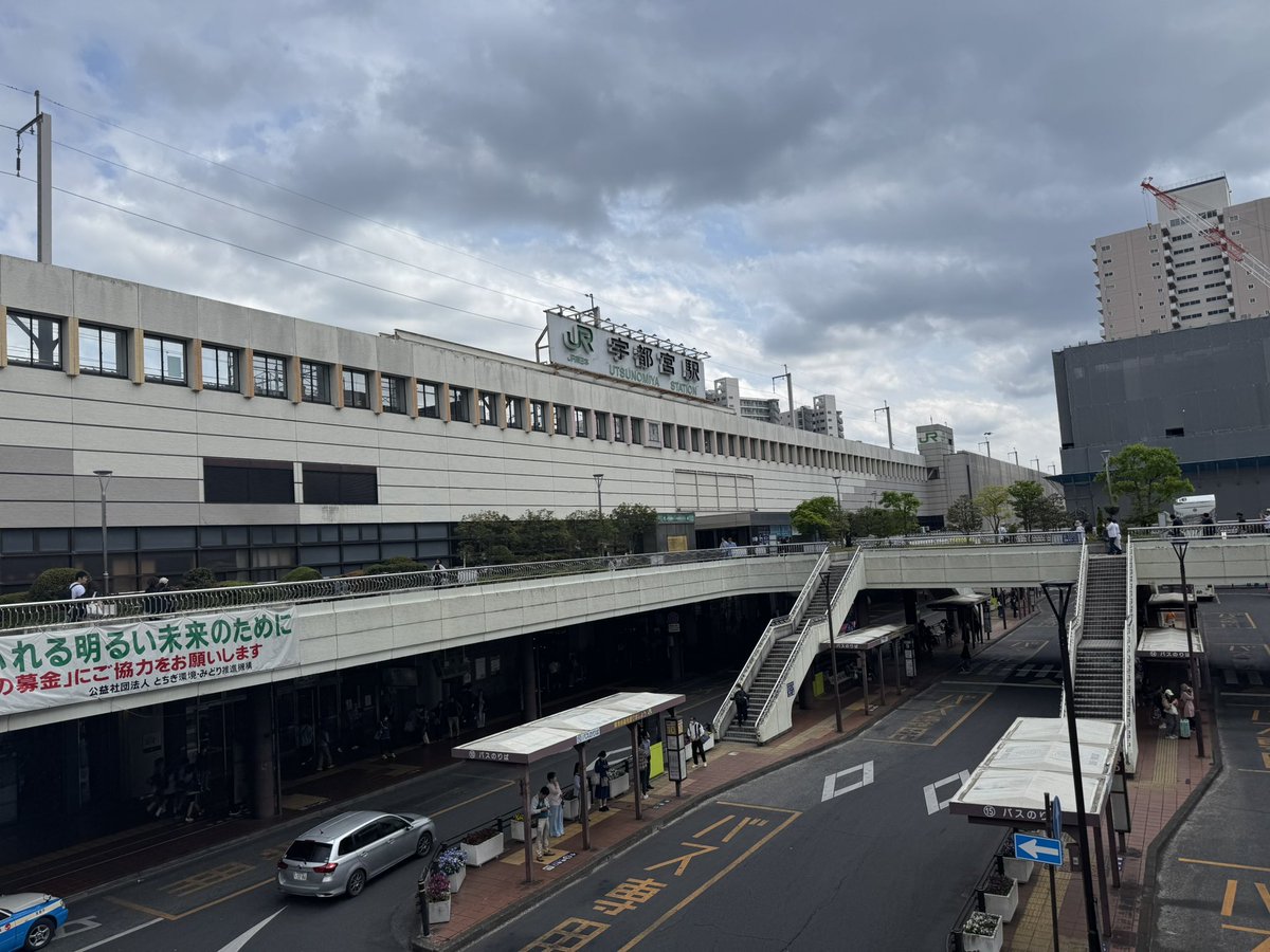 ランチに来た
