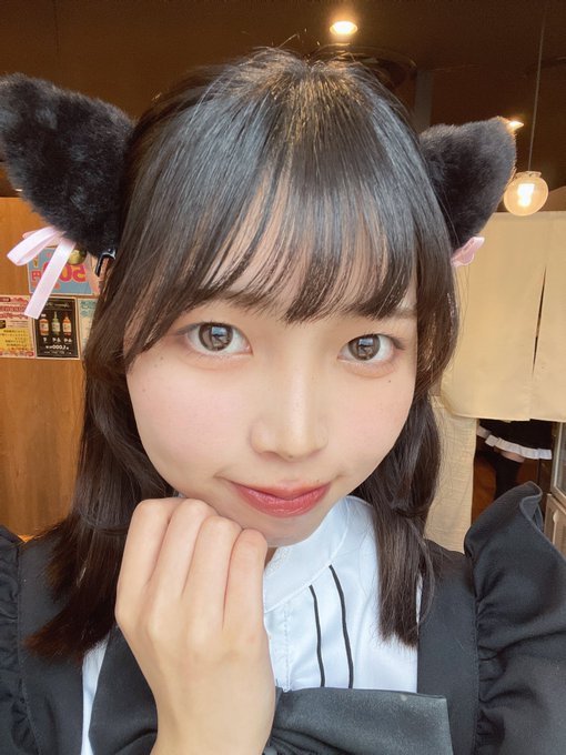 黒猫メイド魔法カフェ　MEGA ドン・キホーテ札幌狸小路店のツイート