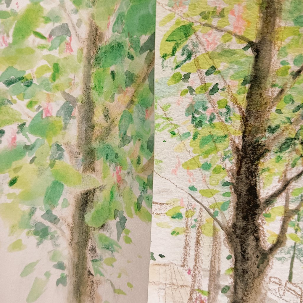 #御茶ノ水クロッキー会 
4月、5月

マロニエ並木の花が
今、盛りです。
#pencildrawing
#風景スケッチ
#色鉛筆
#不透明水彩
#御茶ノ水