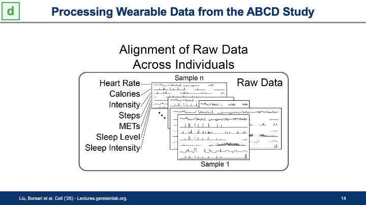 MarkGerstein's tweet image. Posting my talk tomorrow for the Frontiers in Computational Biosciences series at @UCLA lectures.gersteinlab.org/summary/Better…. Lots of new slides on creating digital phenotypes from wearable devices & relating them to genetics (from @JasonJLiu & @Susannaliu99) and on quantum computing
,
