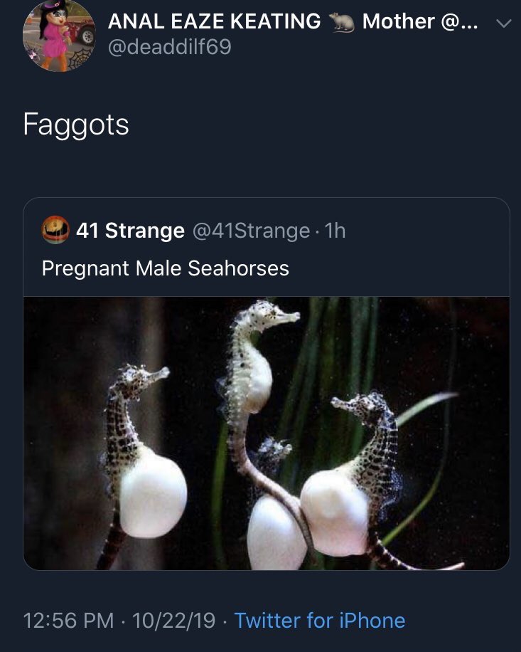 ٍ (@manic_posting) on Twitter photo 