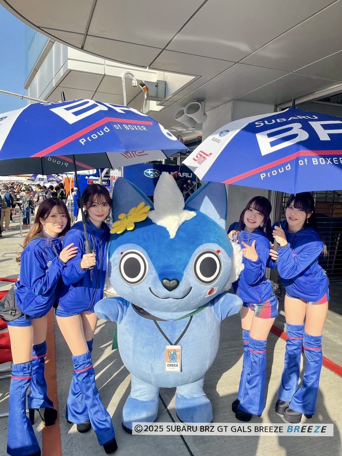 SUBARU BRZ GT GALS ☆ BREEZE (@sbgBREEZE) / X