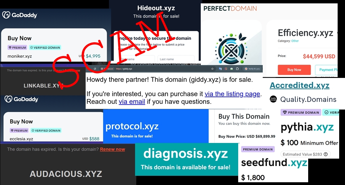 Jack Domainer ⚡ tweet media