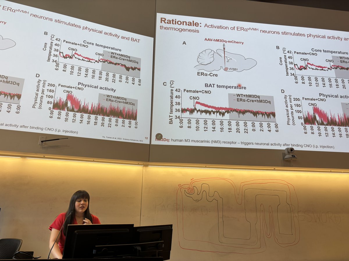 xulab_uic's tweet photo. 🎓 Huge congratulations to @vtorre26 for successfully defending her PhD thesis! Her work explored estrogen signaling in the vlVMH and its role in regulating adipose tissue function. We’re so proud of Dr. Torres and can’t wait to see what she does next! https://t.co/F9X69oqT2L