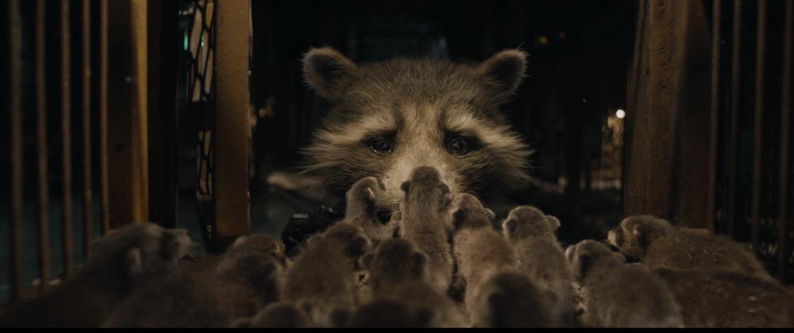 BLURAYANGEL 🦇 tweet media