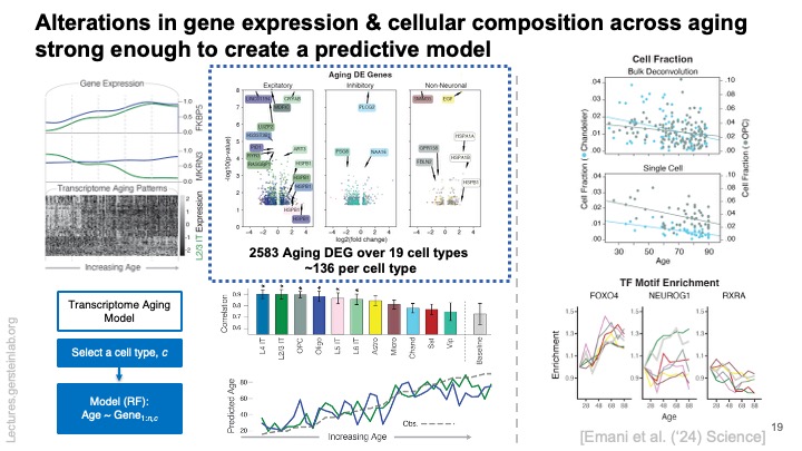 MarkGerstein's tweet image. Posting my talk on Tue. at @UCI_NeurCircuit (hosted by @JingZhang_bio) lectures.gersteinlab.org/summary/SCZ-AD… . Lots of slides on using AI approaches for Schizophrenia, Alzheimer's & ADHD, including some new ones on analyzing AD imaging.