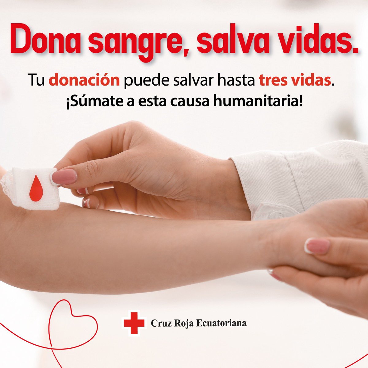 A veces creemos que ayudar es algo grande, inalcanzable. Pero donar es un gesto sencillo que puede cambiar una vida.
No esperes a que sea urgente. Actúa hoy.
La solidaridad también se dona ❤
#CruzRojaEcuador #SolidaridadQueTransforma