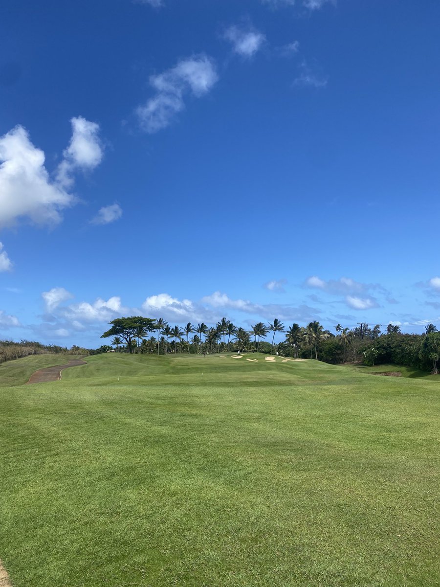 Beautiful day for golf