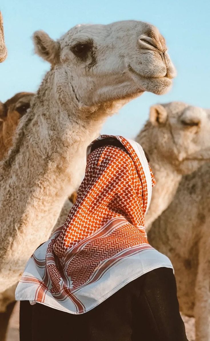 مانكتمل باحد وما نضيع بليا أحد 
نسعد من بقى وننسى من نسى .