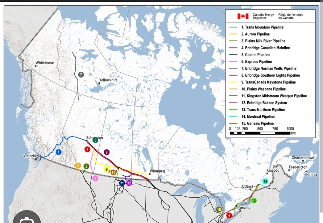 greenguy4413's tweet photo. @jasonmilne81 @jt_mulder @RUSUREOR @albertaseparate I would call cross province pipelines cohesion, yes. What does cohesion mean to you lol? Alberta gets to do whatever the fuck it wants and get free unfettered access to all the nation's infrastructure? https://t.co/8coVAu2joB