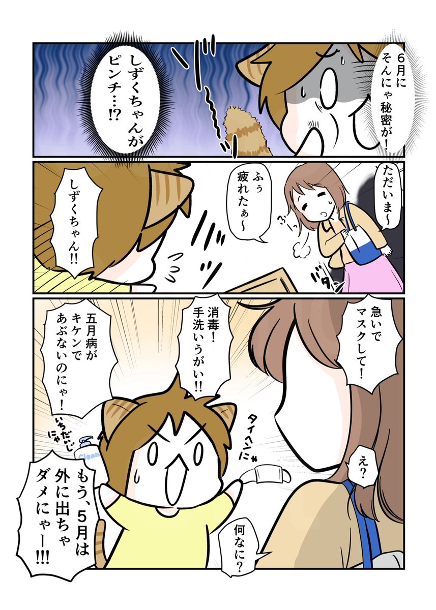 #スパダリにゃんこ
#くぅの日常 第269話
たしかなことは 2/2 