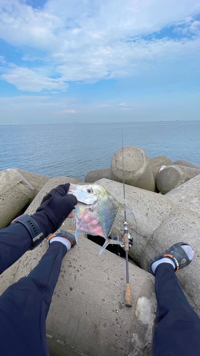hellocaan's tweet photo. ikan favorit spot ini~ https://t.co/bPXuDaK3Am