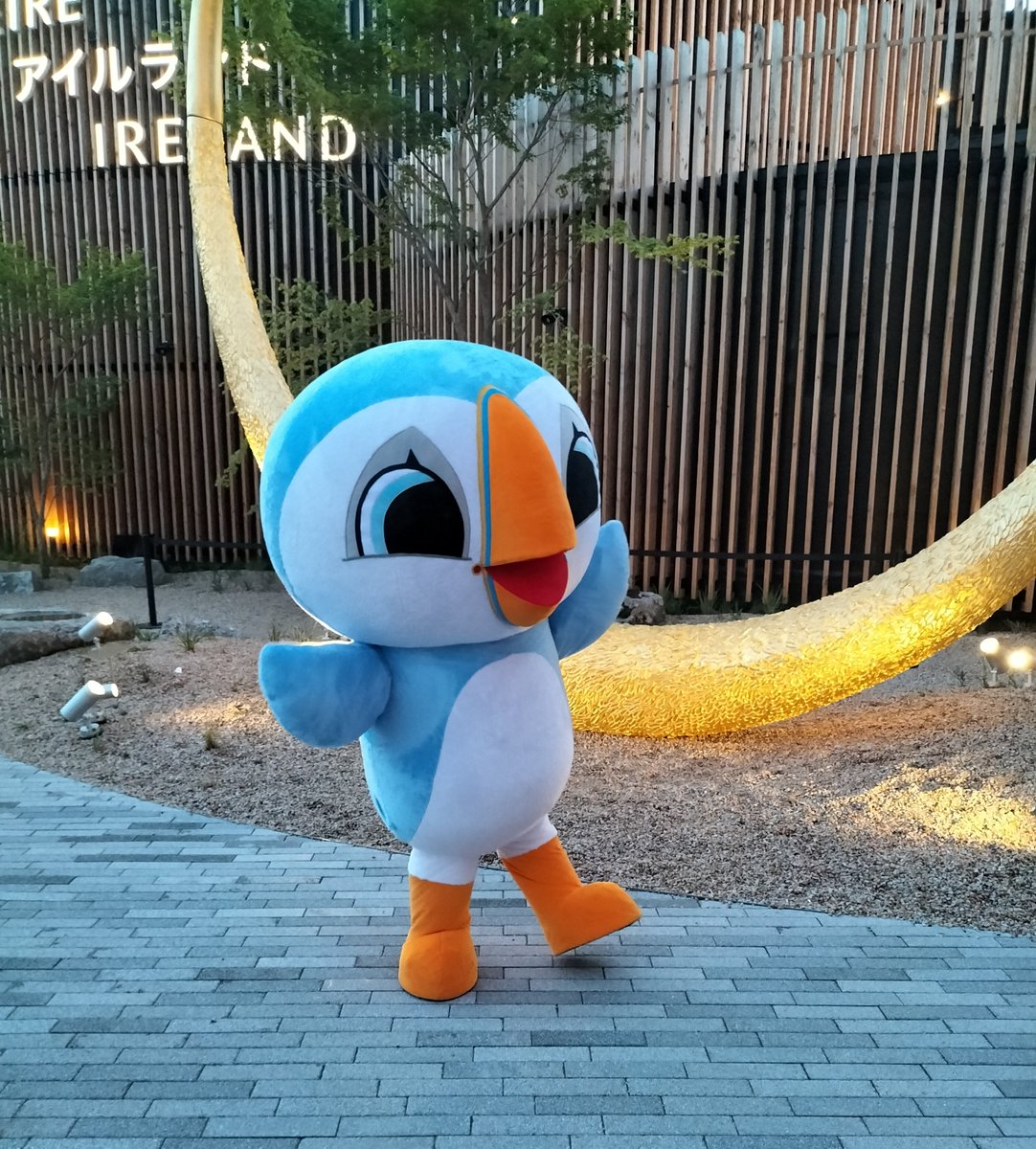 Oona (#ウーナ) ちゃん🩵 とってもかわいい嘴🧡です #EXPO2025