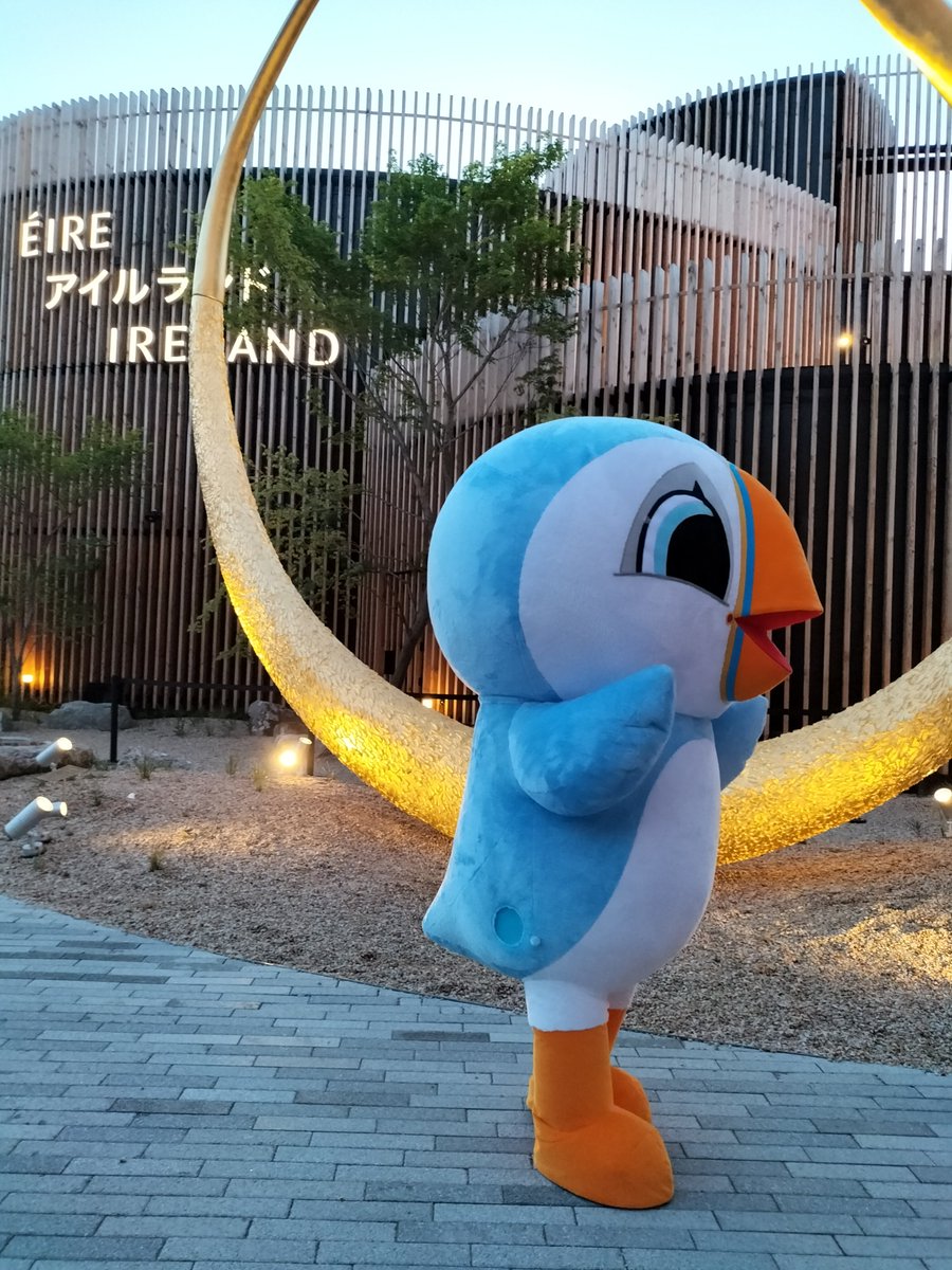 Oona (#ウーナ) ちゃん🩵 とってもかわいい嘴🧡です #EXPO2025