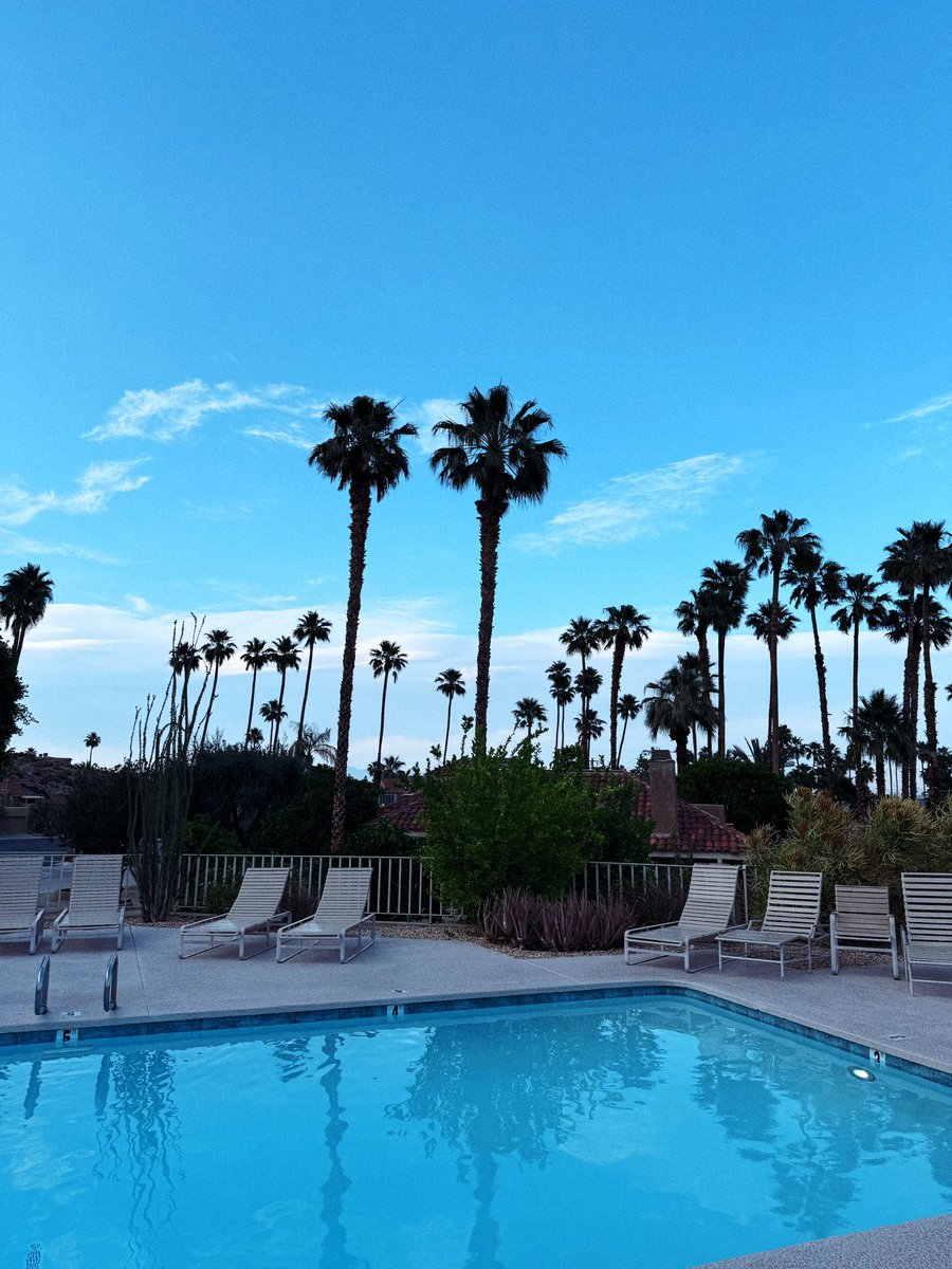 David Hoang tweet media