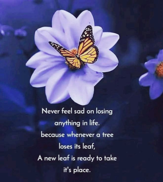 The_ja21C's tweet photo. Never feel sad on losing.anything in life because whenever a tree loses its leaf,a new leaf is ready to take its place. https://t.co/exrLFTrJVu