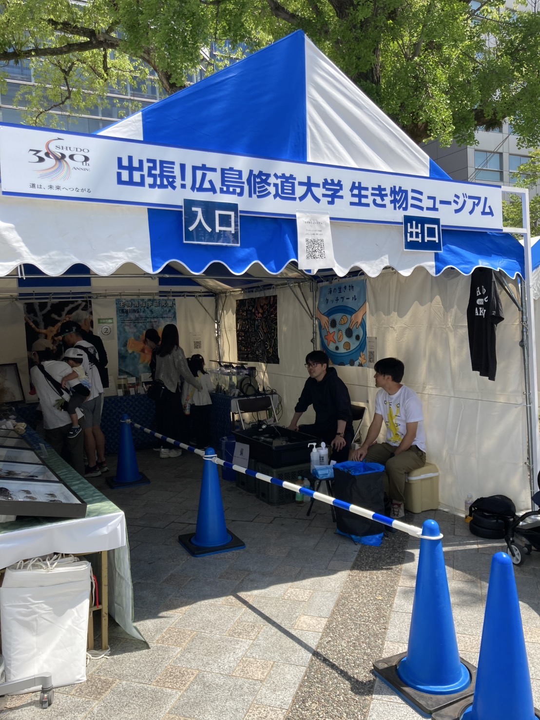 スピノザの形而上学 (広島修道大学学術選書 47) スピノザの形而上学 (広島修道大学学術選書 47)