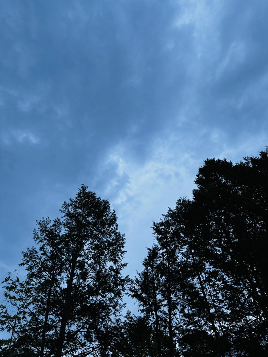 JohnSigona (@jmagsnj) on Twitter photo 