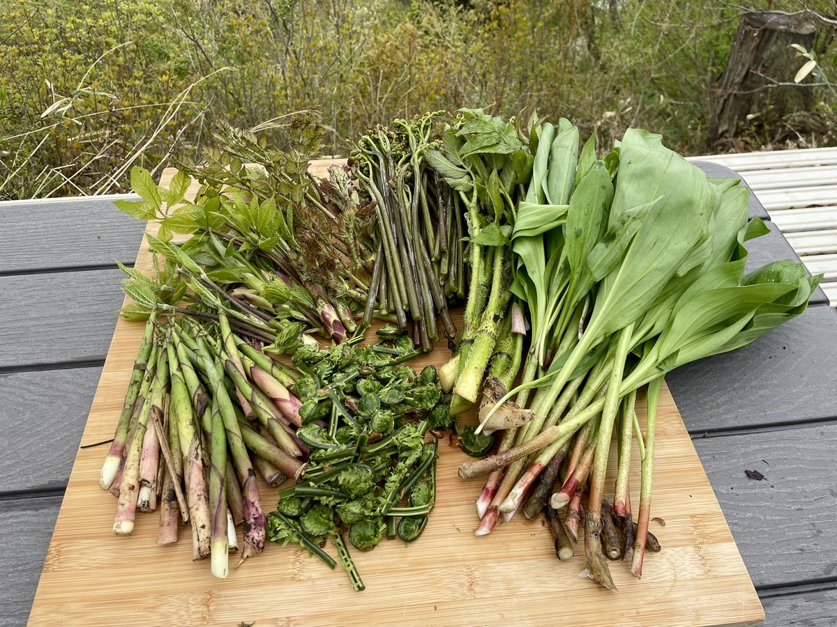 Miles Peterson tweet media