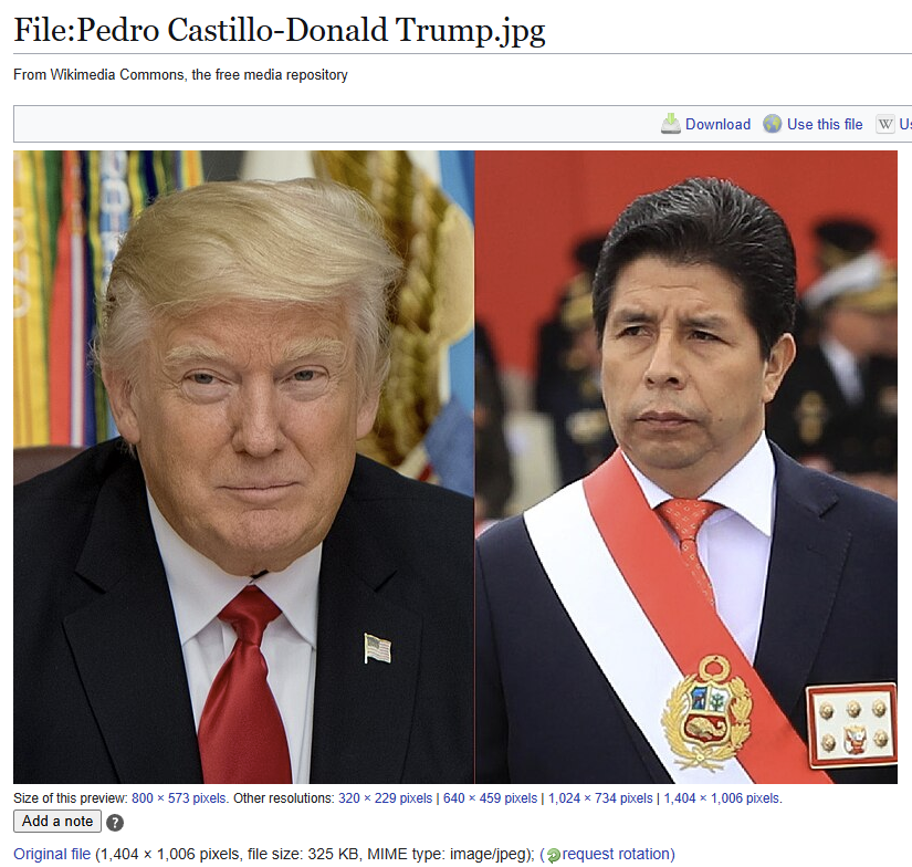 IrishPatri0t's tweet image. #OneStruggle