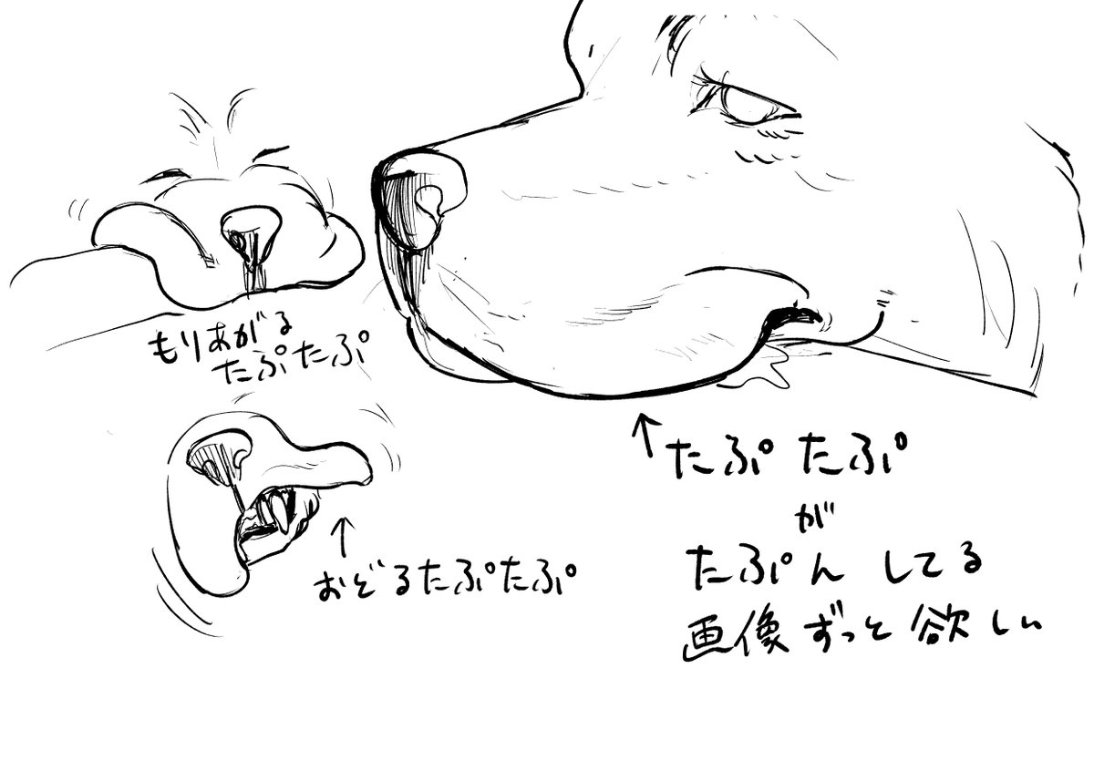 でっけぇ犬のたぷたぷがすきなんですよォ、ネ?わかるでしょ?たぷたぷですよ。たぷたぷ。たぷたぷがたぷたぷしてんのがすきなんですよ。 