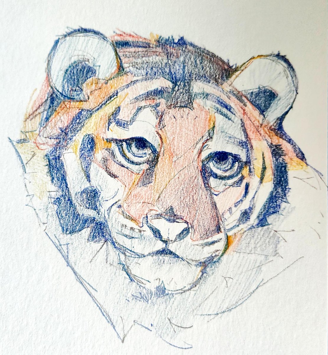 ArtKoumoh's tweet image. drawing at the function
