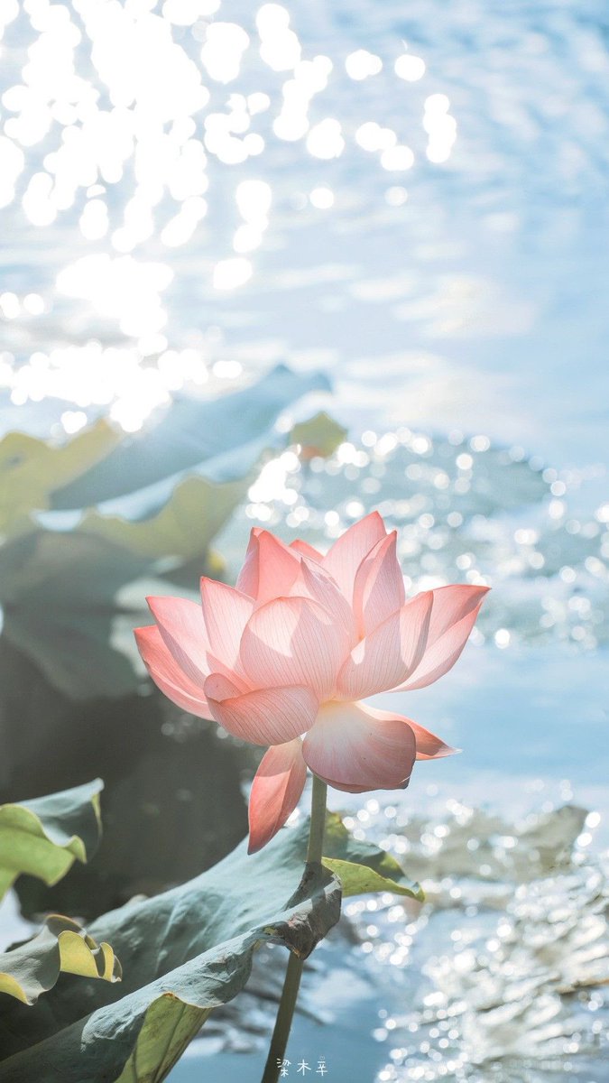 aestheticspost_'s tweet photo. https://t.co/SoKjszGwKH