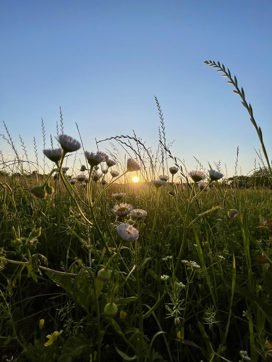 Grace upon Grace 🤍