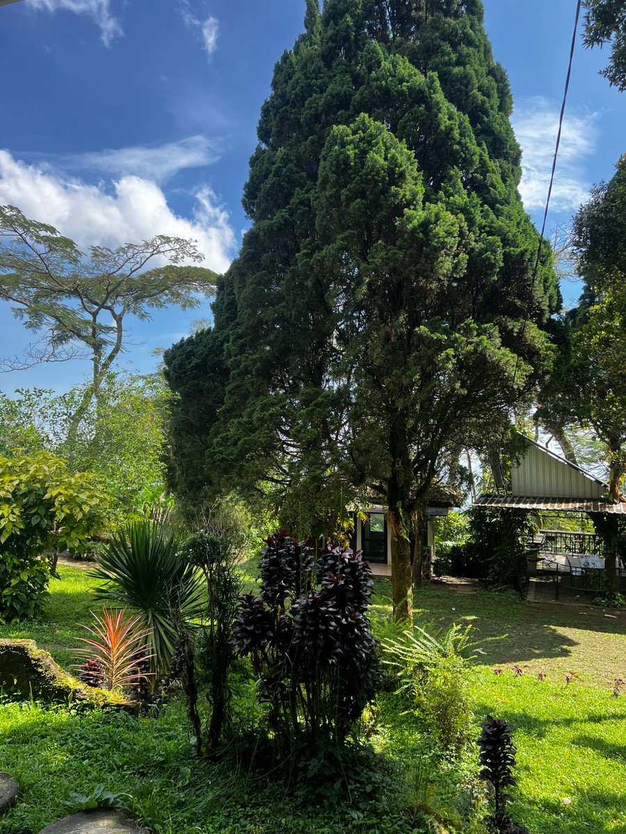 Morn✨ <a href="/risoleskotak/">risoles kotak</a>